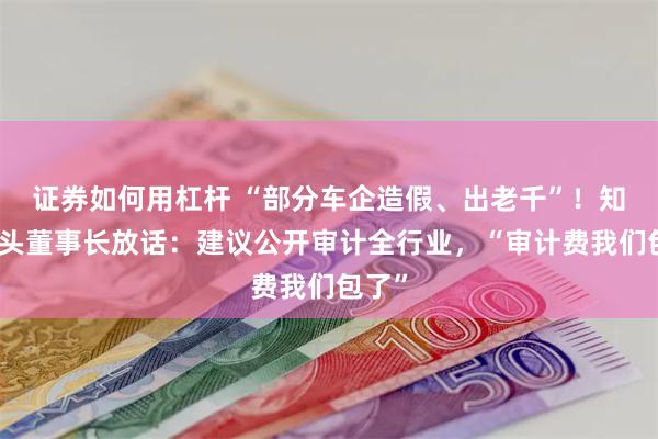 证券如何用杠杆 “部分车企造假、出老千”！知名巨头董事长放话：建议公开审计全行业，“审计费我们包了”