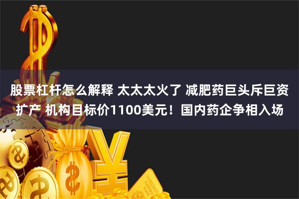 股票杠杆怎么解释 太太太火了 减肥药巨头斥巨资扩产 机构目标价1100美元！国内药企争相入场