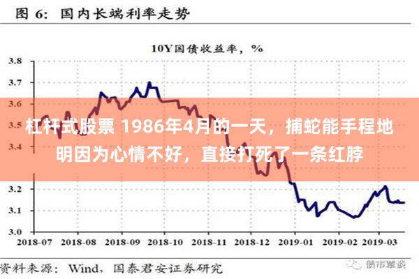 杠杆式股票 1986年4月的一天，捕蛇能手程地明因为心情不好，直接打死了一条红脖