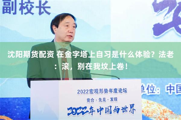 沈阳期货配资 在金字塔上自习是什么体验？法老：滚，别在我坟上卷！