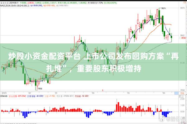 炒股小资金配资平台 上市公司发布回购方案“再扎堆”，重要股东积极增持