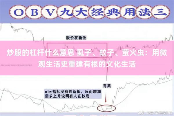 炒股的杠杆什么意思 虱子、蚊子、萤火虫：用微观生活史重建有根的文化生活