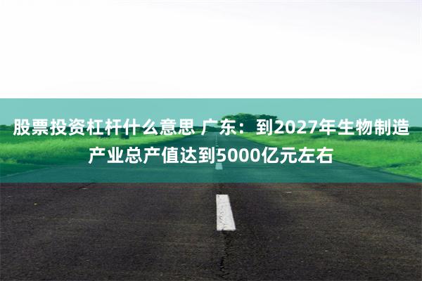 股票投资杠杆什么意思 广东：到2027年生物制造产业总产值达到5000亿元左右