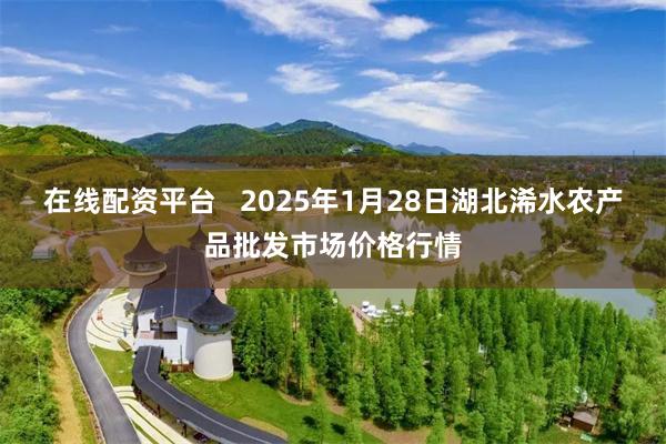 在线配资平台   2025年1月28日湖北浠水农产品批发市场价格行情