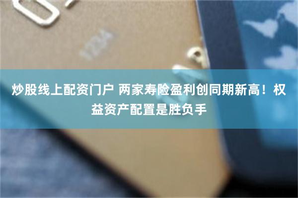 炒股线上配资门户 两家寿险盈利创同期新高！权益资产配置是胜负手