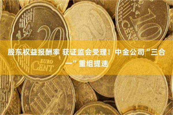 股东权益报酬率 获证监会受理！中金公司“三合一”重组提速
