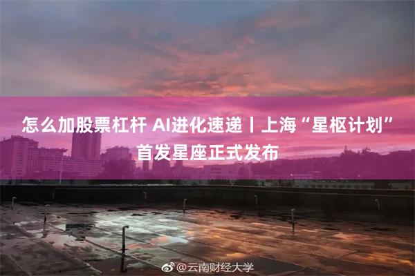 怎么加股票杠杆 AI进化速递丨上海“星枢计划”首发星座正式发布