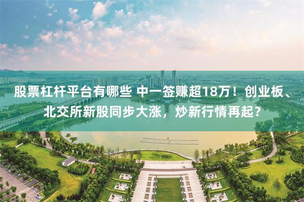 股票杠杆平台有哪些 中一签赚超18万！创业板、北交所新股同步大涨，炒新行情再起？